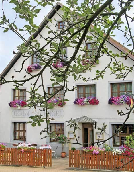 Hotel Restaurant Engel Pfaffenweiler Exteriér fotografie